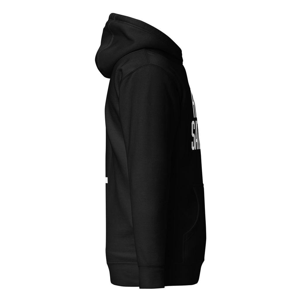 HAIL SATAN hoodie - Satanic statement apparel (right)